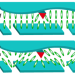 Multi-domain Vertical Alignment
