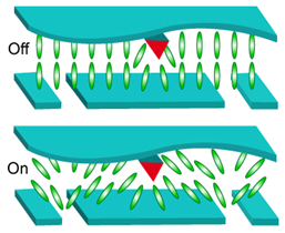 Multi-domain Vertical Alignment