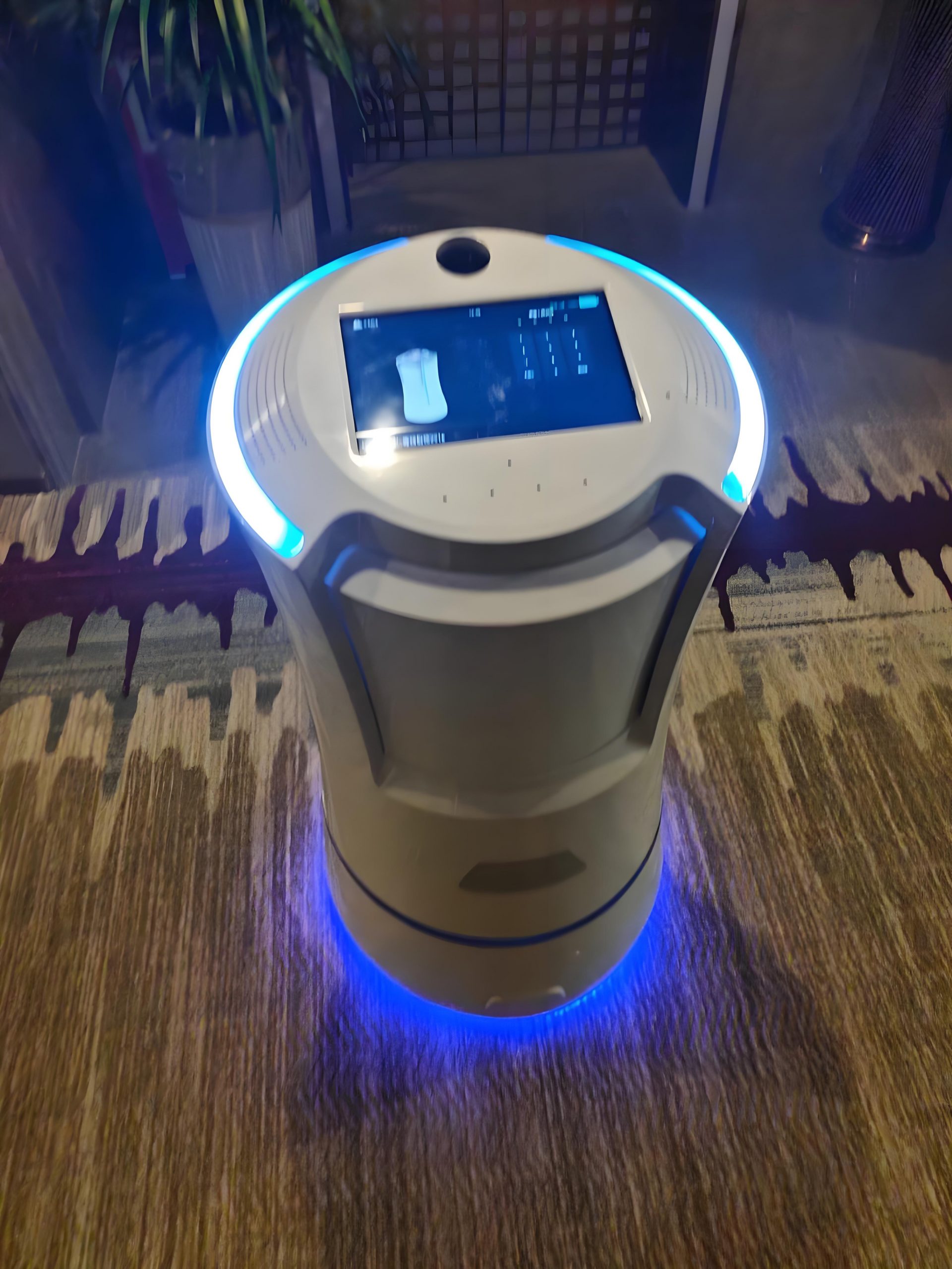 Rocktech Service Robot Display for hotel